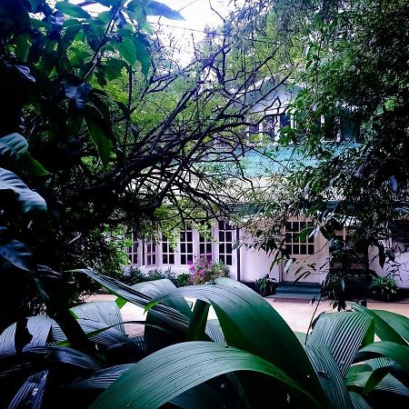 Surrey Bird Sanctuary & Holiday Resort Welimada Exterior foto