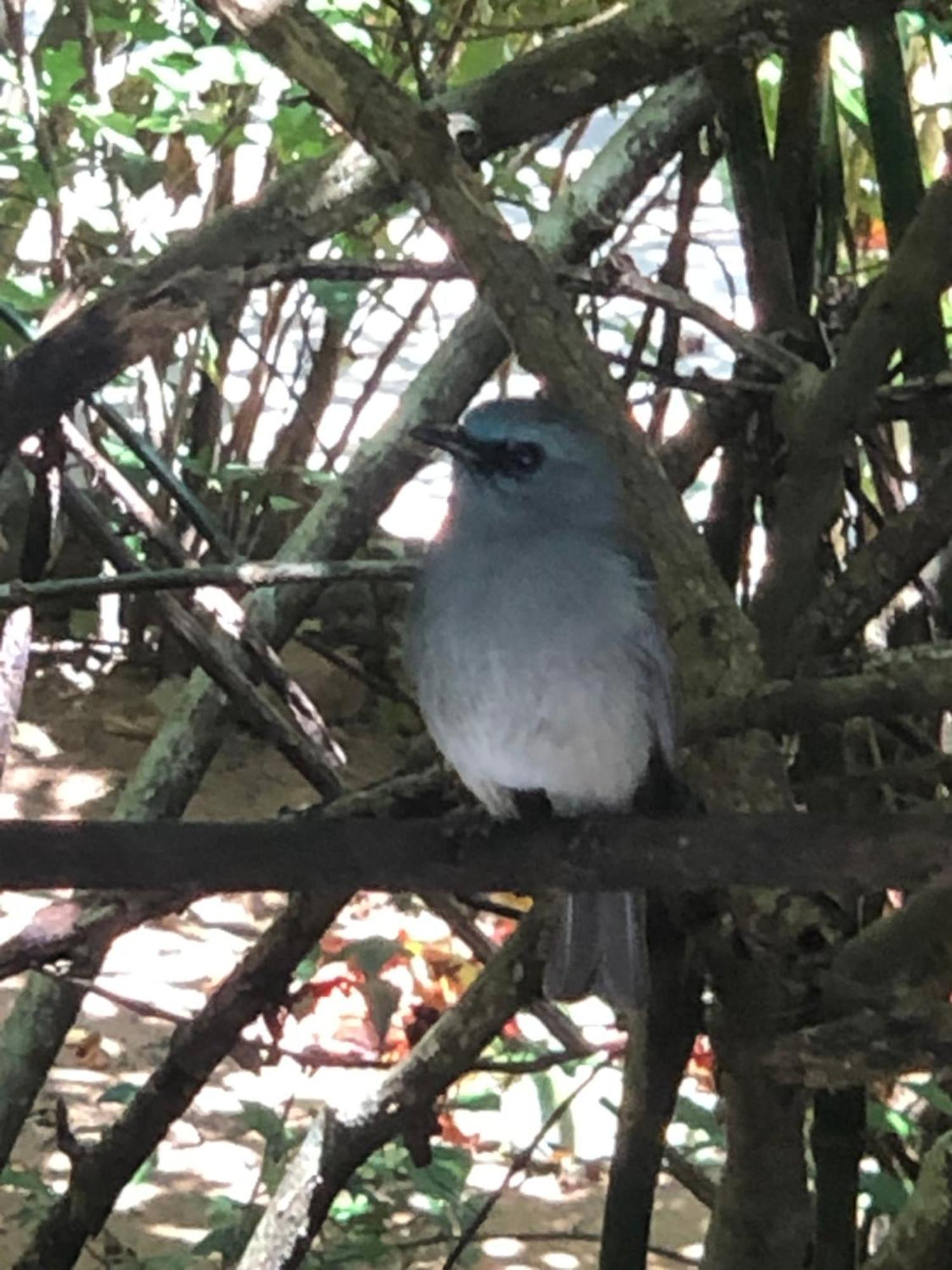 Surrey Bird Sanctuary & Holiday Resort Welimada Exterior foto