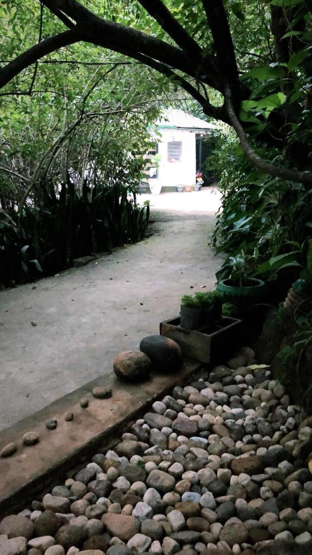 Surrey Bird Sanctuary & Holiday Resort Welimada Exterior foto