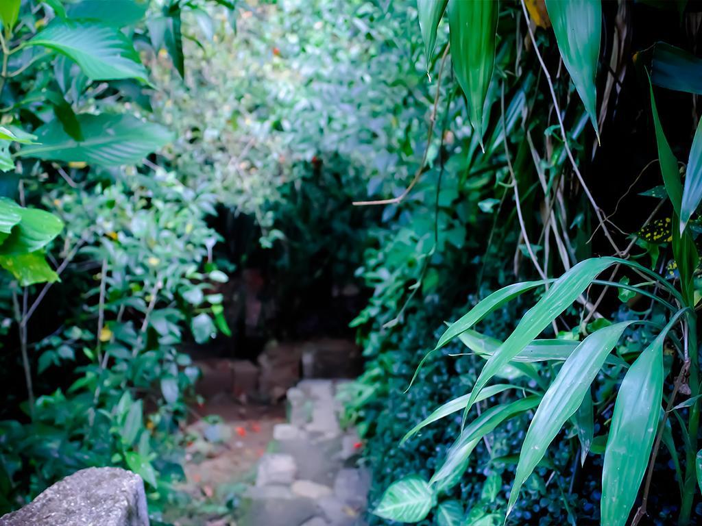 Surrey Bird Sanctuary & Holiday Resort Welimada Exterior foto