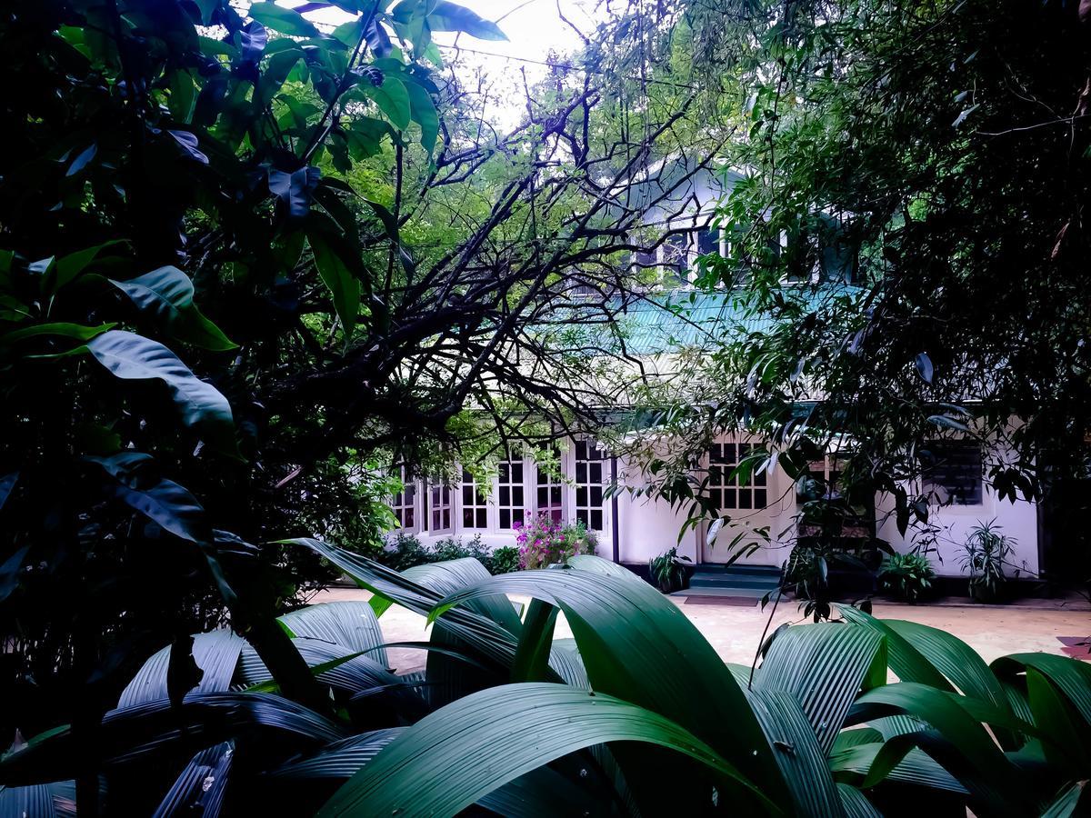 Surrey Bird Sanctuary & Holiday Resort Welimada Exterior foto